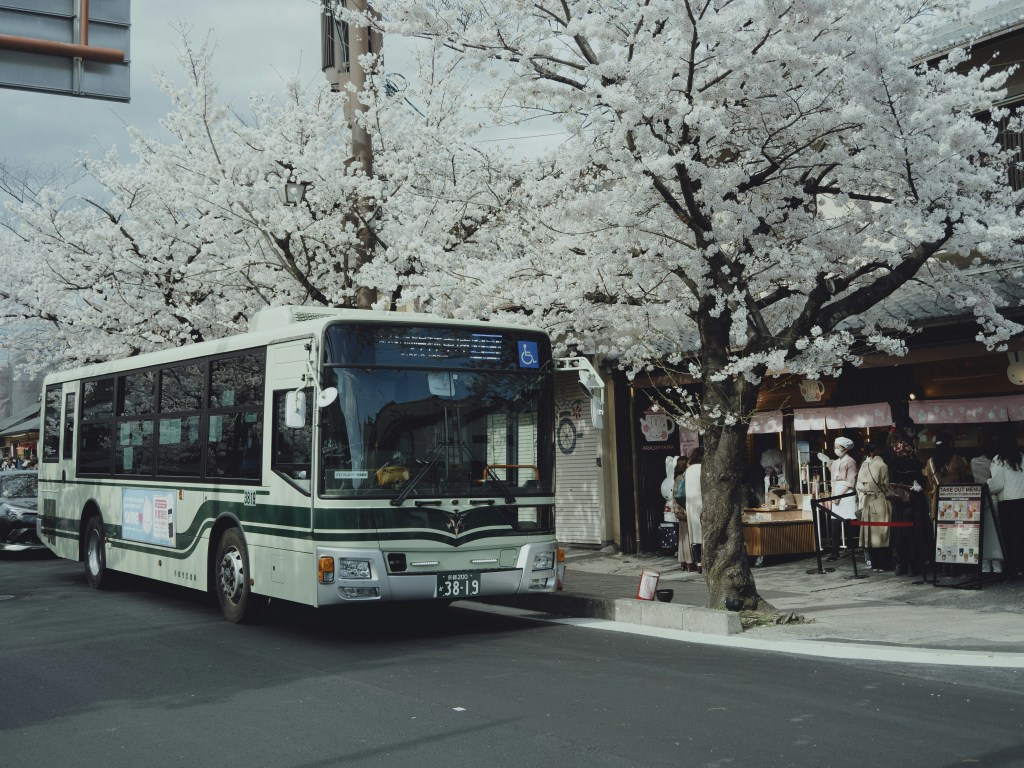 When the Bus Stops, Does Liability Start? New York Appellate Division, Third Department Affirms Summary Judgment Denial in Pedestrian Injury Case